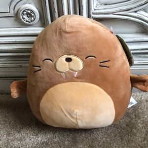 Bruce the walrus Squishmallow